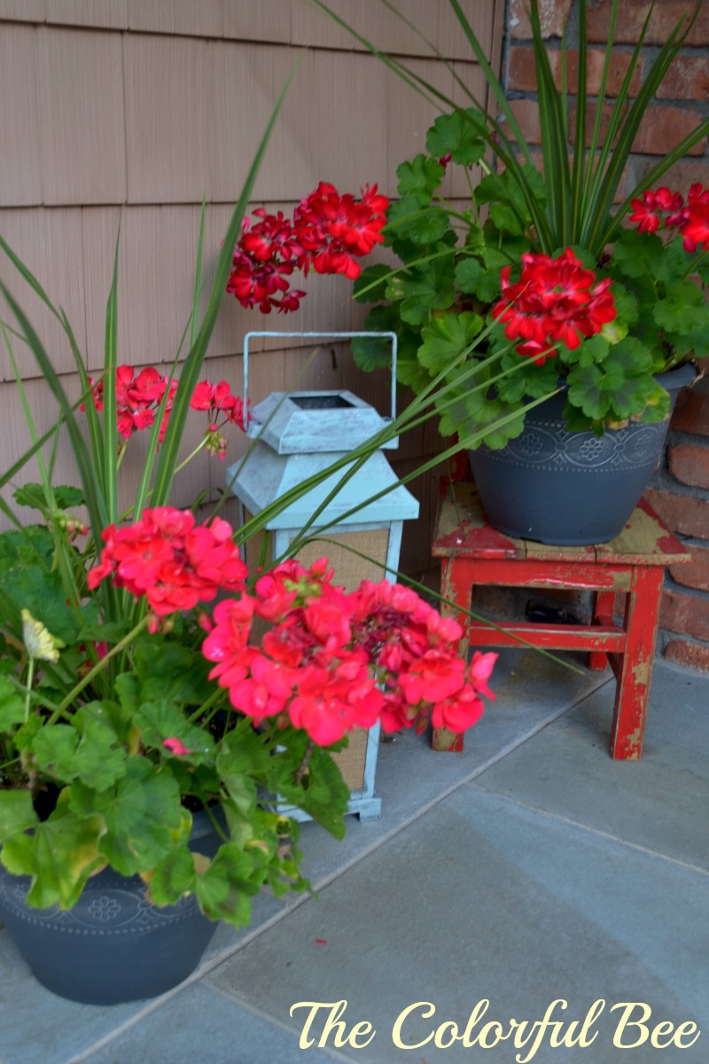 red geraniums and a painted lantern for a porch decoration