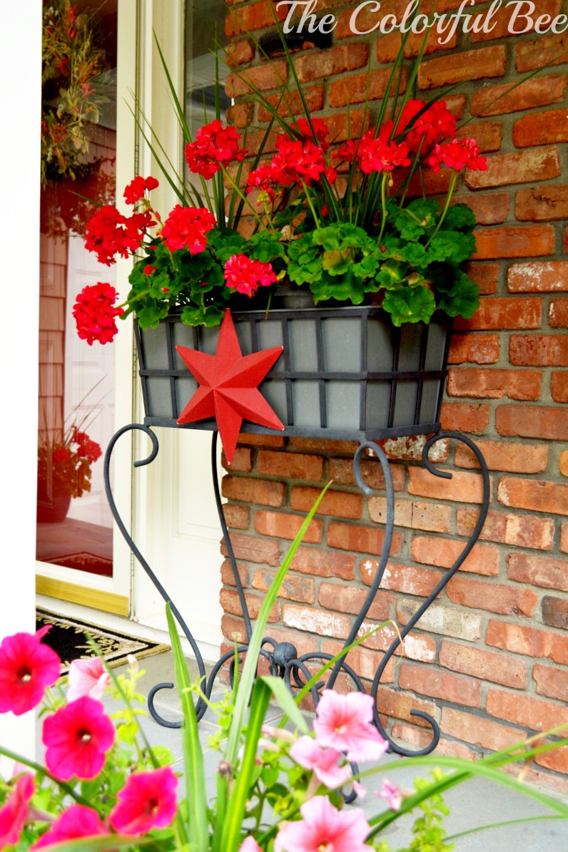 red geraniums and a red star for the entry on the 4th of July